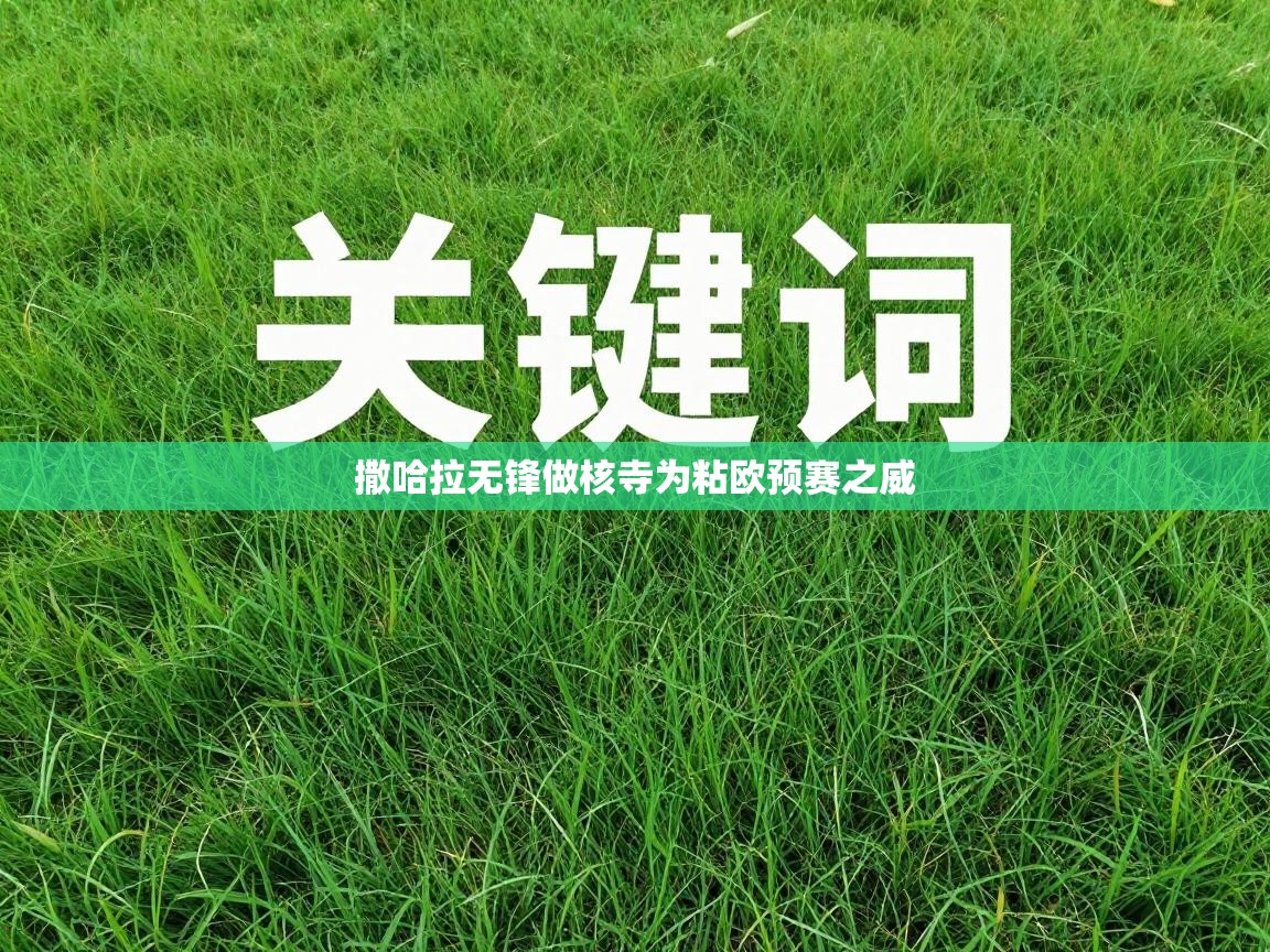 撒哈拉无锋做核寺为粘欧预赛之威  第1张