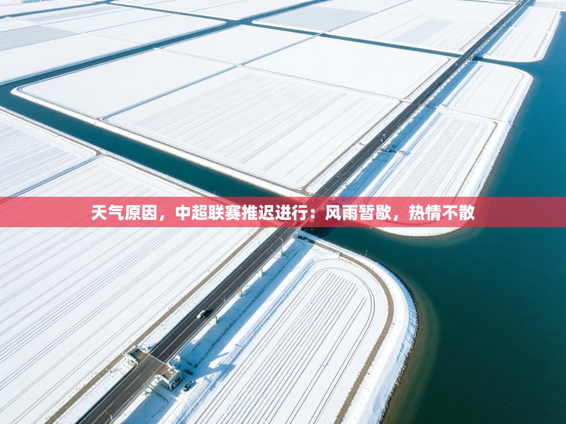 天气原因，中超联赛推迟进行：风雨暂歇，热情不散  第2张