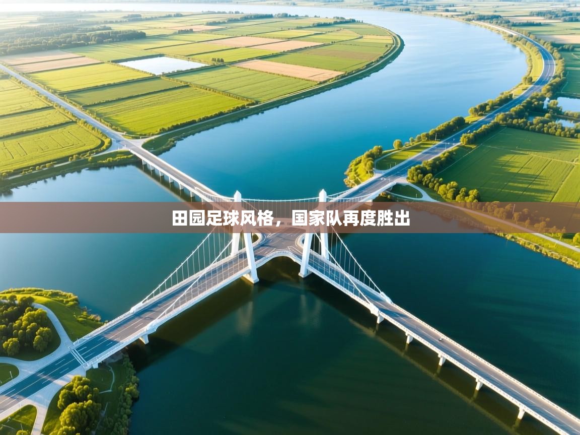 田园足球风格，国家队再度胜出  第1张